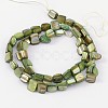 Erose Shell Beads Strands PBB068Y-2