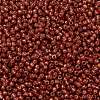 TOHO 11/0 Round Beads SEED-XTR11-PF2113-3