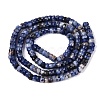 Natural Sodalite Beads Strands G-Q606-46A-03-3