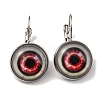 Eye Glass Leverback Earrings with Brass Earring Pins EJEW-Q798-01F-1