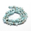 Natural Larimar Chip Beads Strands G-E271-77-2