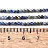Natural Lapis Lazuli Beads Strands G-RM2025-A04-2mm-5