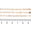Natural Freshwater Shell Beads Strands SHEL-P017-01A-10-4