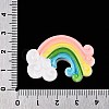 Rainbow Resin Cabochons LS-CRES-R183-28-4