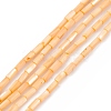 Natural Freshwater Shell Dyed Beads Strands SHEL-M018-11-2