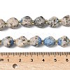 Natural Sesame Jasper Dyed Beads Strands G-U023-A08-01-5