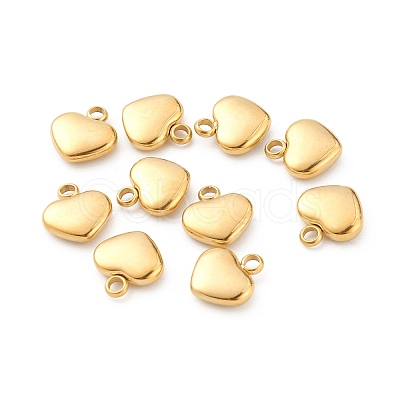 304 Stainless Steel Pendants STAS-Z009-19G-1