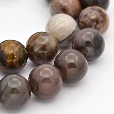 Natural Petrified Wood Round Beads Strands G-P101-01-10mm-1