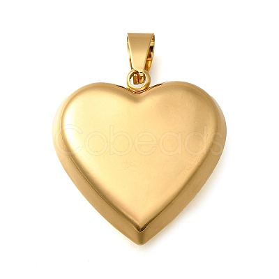 304 Stainless Steel Pendants LS-STAS-H200-01G-07-1