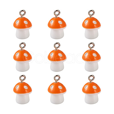 Plastic Pendants KY-TA0001-15F-1