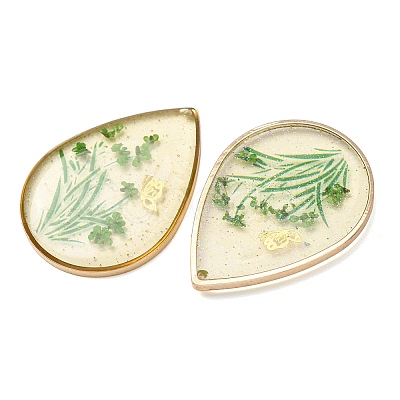 Brass & Transparent Epoxy Resin & Dried Flower Pendants RESI-G133-02G-05-1
