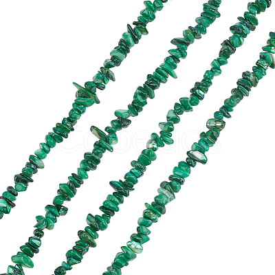 Natural Freshwater Shell Beads Strands BSHE-WH0006-05D-1