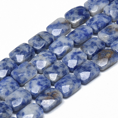 Natural Blue Spot Jasper Bead Strands G-T072-06-1