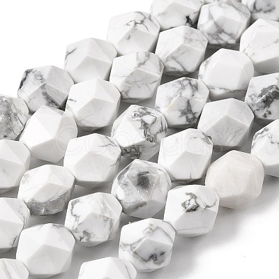 Natural Howlite Beads Strands G-Z119-A43-03-1