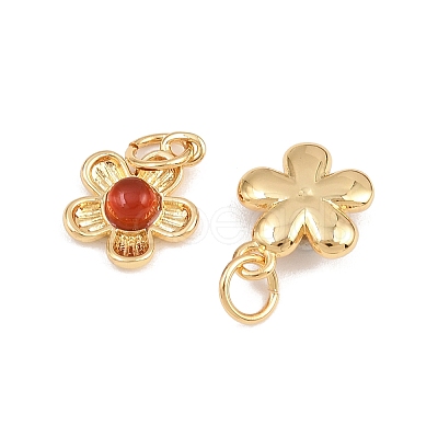 Natural Carnelian(Dyed & Heated) Flower Charms KK-B157-18G-01-1