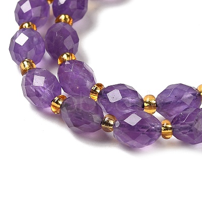 Natural Amethyst Beads Strands G-H297-C09-01-1