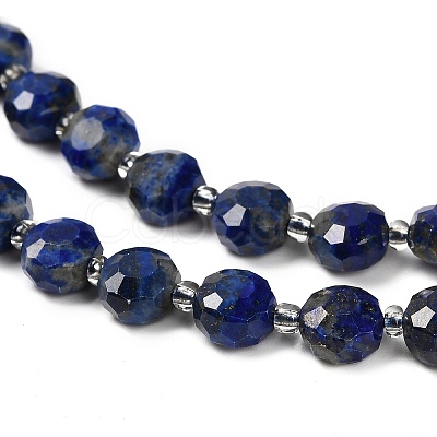 Natural Lapis Lazuli Beads Strands G-B153-B06-1