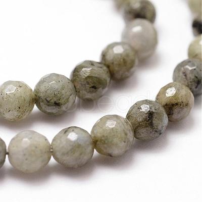 Natural Labradorite Beads Strands G-D840-10-6mm-1