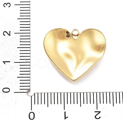 304 Stainless Steel Pendant STAS-R155-030G-1