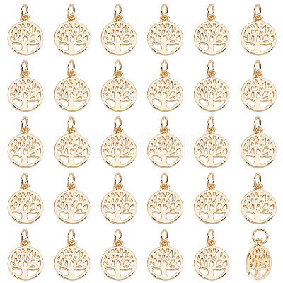 50Pcs Alloy Charms FIND-PH0010-52-1