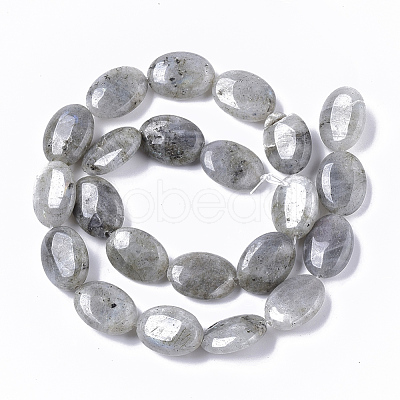 Natural Labradorite Beads Strands G-S359-001B-1