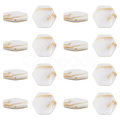 2 Strands Natural Freshwater Shell Beads Strands SSHEL-SC0001-36D-1