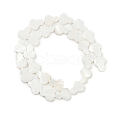 Natural Freshwater Shell Beads Strands SHEL-K010-02C-1