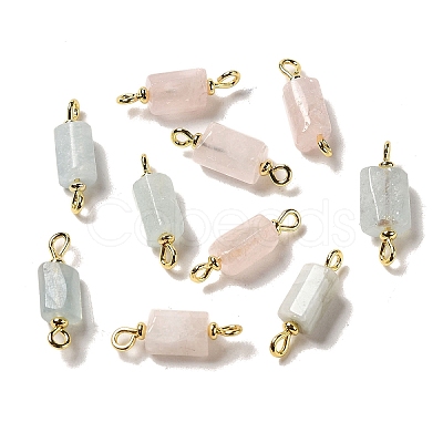 Natural Rose Quartz/Aquamarine Connector Charms FIND-C046-10B-G-1