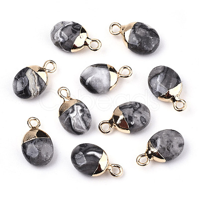 Natural Map Stone/Picasso Stone/Picasso Jasper Charms X-G-N326-58B-1