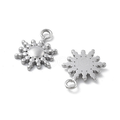 304 Stainless Steel Charms STAS-Z121-12P-1