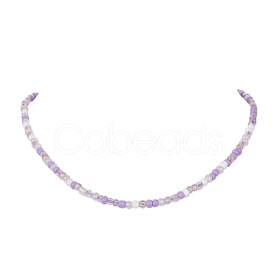 Glass Seed Beaded Necklace NJEW-JN04493-1