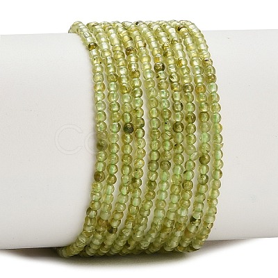 Natural Peridot Beads Strands G-A322-A07-2mm-1