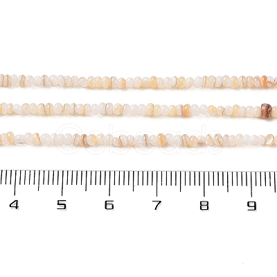 Natural Freshwater Shell Beads Strands SHEL-P017-01A-10-1