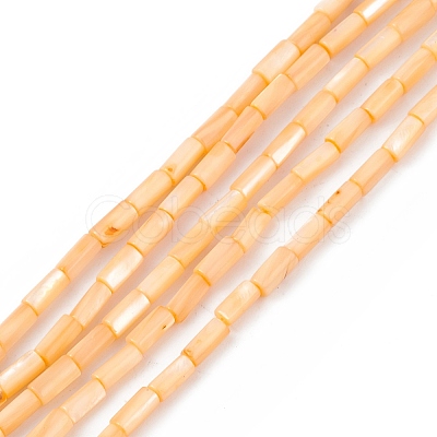 Natural Freshwater Shell Dyed Beads Strands SHEL-M018-11-1
