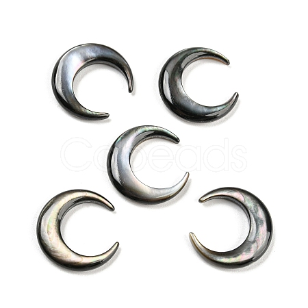 Natural Black Lip Shell Cabochons SSHEL-P015-80B-20MM-01-1
