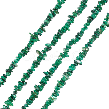 Natural Freshwater Shell Beads Strands BSHE-WH0006-05D-1