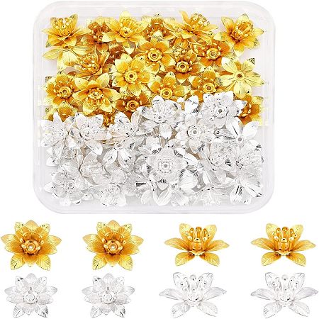 48Pcs 2 Colors 3D Brass Bead Caps KK-FH0002-42-1