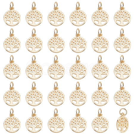 50Pcs Alloy Charms FIND-PH0010-52-1