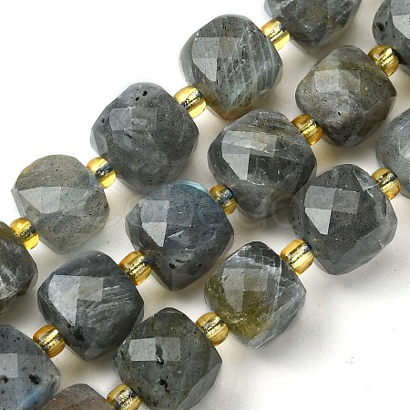 Natural Labradorite Beads Strands G-Q010-A25-01-1