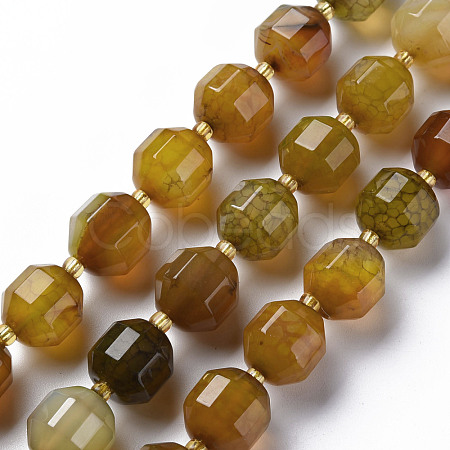 Natural Agate Beads Strands G-T131-118H-1
