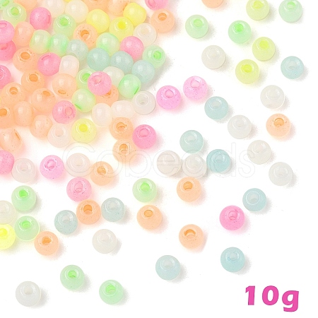 10G Glass Seed Beads SEED-YW0003-03A-1