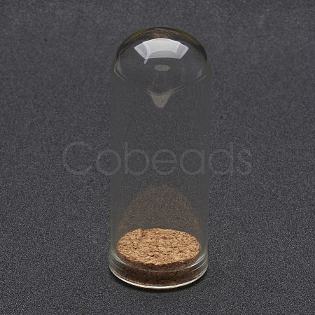 Glass Dome Cloche Cover X-AJEW-P043-L-1