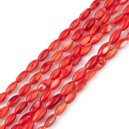 Natural Freshwater Shell Dyed Beads Strands X-SHEL-M018-13-05-1