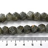 Natural Labradorite Star Cut Round Beads Strands G-M418-C10-01-5