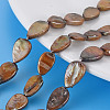 Natural Keshi Pearl Beads Strands PEAR-S021-020-3