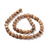 Natural Picture Jasper Beads Strands G-E571-28B-4