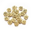Tibetan Style Alloy Charms LS-GLF0004Y-NF-2