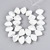 Handmade Lampwork Beads LAMP-N033-01H-2
