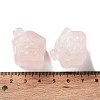 Natural Rose Quartz Carved Healing House Figurines DJEW-P015-01E-3