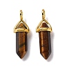 Natural Tiger Eye Pointed Pendants G-K329-43G-2